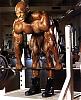 Ronnie Coleman pics-ronnie_coleman_0005.jpg