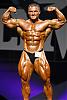 Mr. Olympia 2002-haidar.jpeg