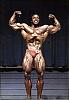 lee haney, bob paris, francis benfatto-haney08.jpg