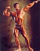 kevin levrone-labrad13.jpg