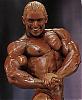 lee priest &quot;97&quot; ironman-priest13.jpg