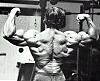 need a pic of arnold.-m13.jpg