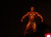 An Anabolic Review Exclusive...-wardel.jpg