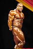 Mr. Olympia Results.....Top 10, With Pics-nasser.jpg