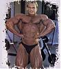 I have many pics of any pro bodybuilder or any pro contest-975220477.jpg