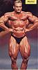 I have many pics of any pro bodybuilder or any pro contest-dthr6.jpg