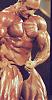 I have many pics of any pro bodybuilder or any pro contest-bh.jpg