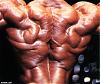I have many pics of any pro bodybuilder or any pro contest-06a762b1.jpg
