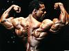 I have many pics of any pro bodybuilder or any pro contest-3952c7a7_2.jpg