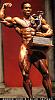 I have many pics of any pro bodybuilder or any pro contest-cf18604d.jpg