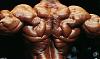 I have many pics of any pro bodybuilder or any pro contest-ed98b120.jpg