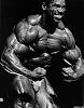 I have many pics of any pro bodybuilder or any pro contest-dd40704c.jpg