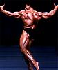 I have many pics of any pro bodybuilder or any pro contest-maf092000_ban_hb.jpg