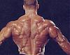 I have many pics of any pro bodybuilder or any pro contest-56yr6.jpg