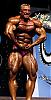 I have many pics of any pro bodybuilder or any pro contest-57f16396.jpg