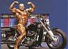 I have many pics of any pro bodybuilder or any pro contest-58686264.jpg