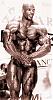 I have many pics of any pro bodybuilder or any pro contest-pcolm03.jpg