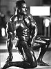 I have many pics of any pro bodybuilder or any pro contest-021d4733.jpg