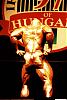 I have many pics of any pro bodybuilder or any pro contest-ron-12-.jpg