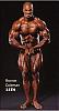 I have many pics of any pro bodybuilder or any pro contest-ron-16-.jpg