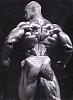 I have many pics of any pro bodybuilder or any pro contest-ron-18-.jpg