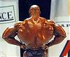 I have many pics of any pro bodybuilder or any pro contest-ron-24-.jpeg