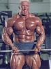 I have many pics of any pro bodybuilder or any pro contest-training_rulh-3-.jpg