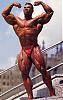 I have many pics of any pro bodybuilder or any pro contest-levrone-17-_2.jpg