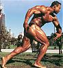I have many pics of any pro bodybuilder or any pro contest-levrone-20-.jpg