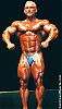 I have many pics of any pro bodybuilder or any pro contest-lee-3-.jpg