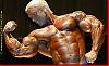 I have many pics of any pro bodybuilder or any pro contest-lee-8-.jpg