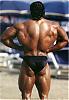 New of any pics for any pro bodybuilder or pro contests..-quinn-1-.jpg