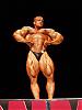 New of any pics for any pro bodybuilder or pro contests..-marco.jpg