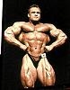 New of any pics for any pro bodybuilder or pro contests..-marco-2-.jpg