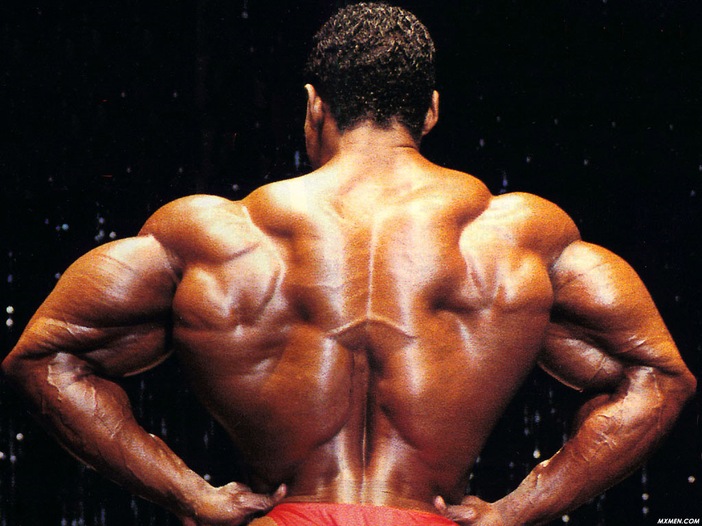 Flex Wheeler спина