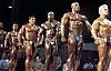 New of any pics for any pro bodybuilder or pro contests..-456.jpg