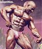 New of any pics for any pro bodybuilder or pro contests..-r67u.jpg