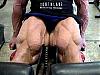 Inspiring pix of LEGS !-branchquad2lg.jpg