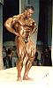 New of any pics for any pro bodybuilder or pro contests..-fjodorov-c7be78b7-.jpg