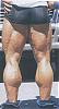 Inspiring pix of LEGS !-t_mafm01.jpg