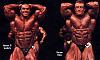 New of any pics for any pro bodybuilder or pro contests..-sonbaty-yates-730c4d16-.jpg