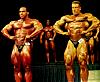 New of any pics for any pro bodybuilder or pro contests..-sonbaty-yates-d6c6de82-.jpg