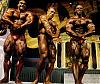 New of any pics for any pro bodybuilder or pro contests..-sonbaty-yates-dillett-ff7daf18-.jpg