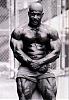 New of any pics for any pro bodybuilder or pro contests..-roberts-570988ad-.jpg