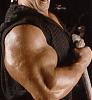 &quot;26&quot; biceps!?-65cm.jpg