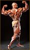 New of any pics for any pro bodybuilder or pro contests..-51.jpg
