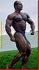 New of any pics for any pro bodybuilder or pro contests..-zhur07_png.jpg