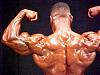 Backs that look like WALLS !-mvc-035f.jpg