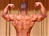 Backs that look like WALLS !-mvc-750f.jpg