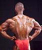 Backs that look like WALLS !-mvc-827f.jpg